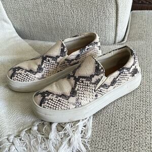 STEVE MADDEN Wedge Snakeskin Gils Leather Flocked Closed Toe Sneaker Size 6